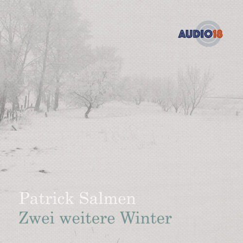 Cover vom Album Zwei weitere Winter von Patrick Salmen